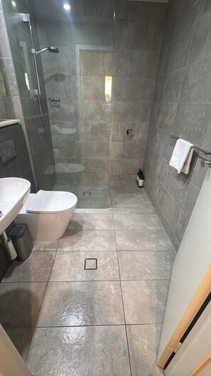 Hair dryer, towels, shampoo, toilet paper