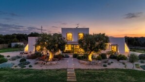 Una casa moderna con un patio centrale, due alberi e un vialetto in pietra che conduce all'ingresso.