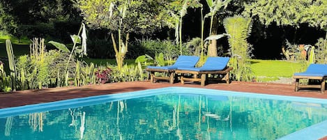 A swimming pool with wooden loungers and a garden with various plants.