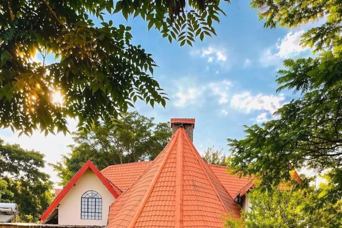 Comfort Double Room | Garden view