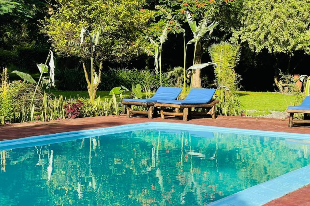 A swimming pool with blue lounge chairs and tropical vegetation.