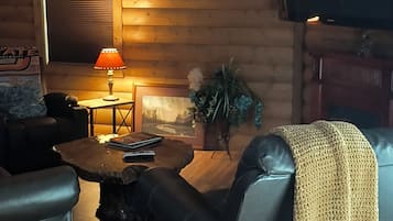 Smart TV, fireplace, books