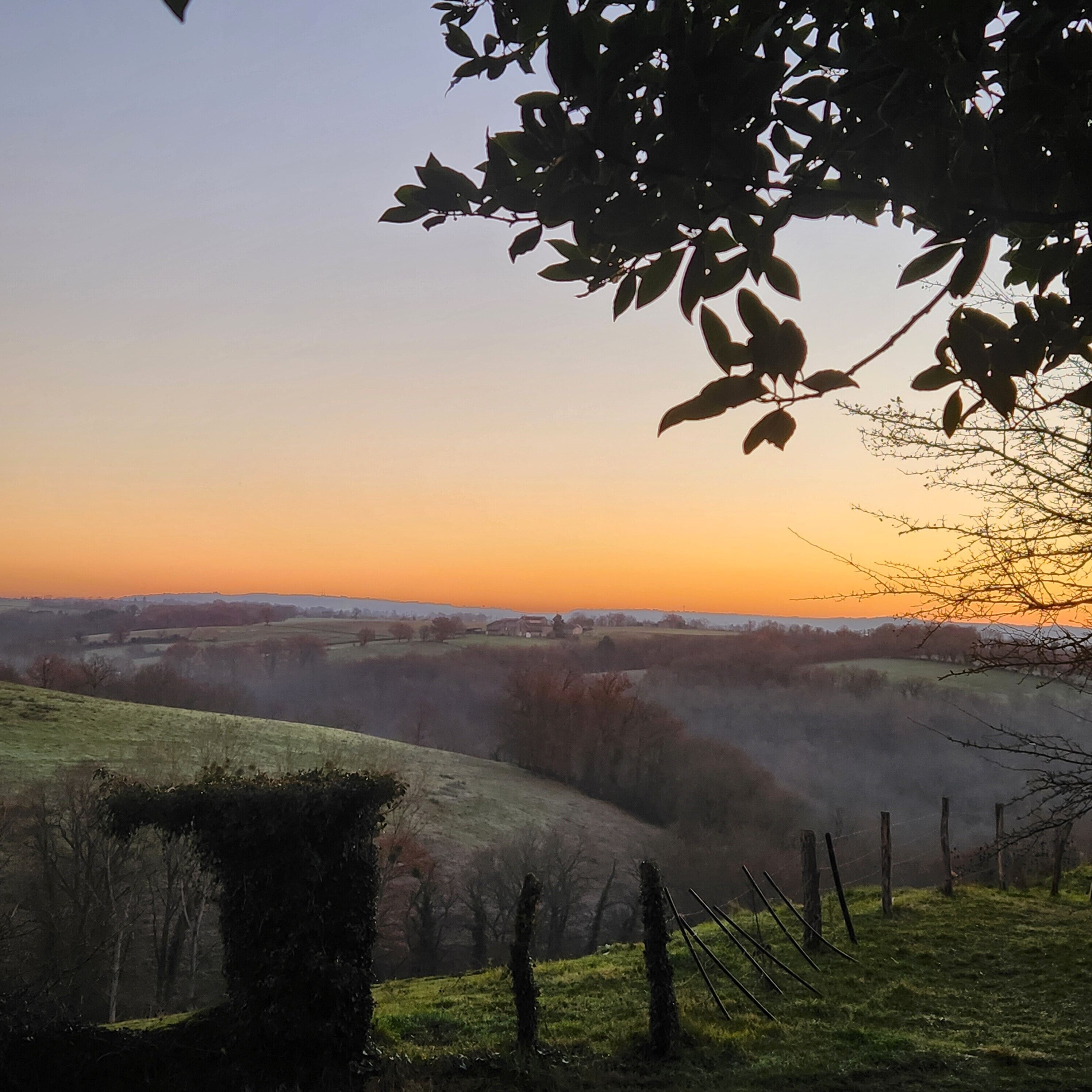 Ländliche Landschaft mit sanften Hügeln, einem Zaun und einem Baum mit Blättern im Vordergrund.