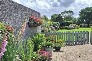 Property grounds - Rural Cornish Cottage (Chacewater)
