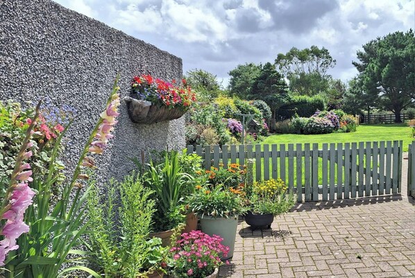 المنطقة المحيطة بالمنشأة