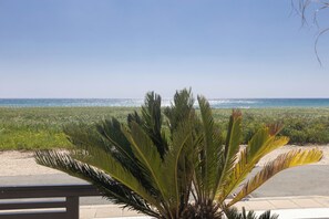A coastal view with a palm tree in the foreground and a clear sky. - Ayia Napa Holiday Villa SV11 (Ayia Napa)
