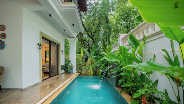 Une piscine agrémentée d’un élément décoratif aquatique, entourée d’une végétation luxuriante et bordée d’un mur extérieur blanc.