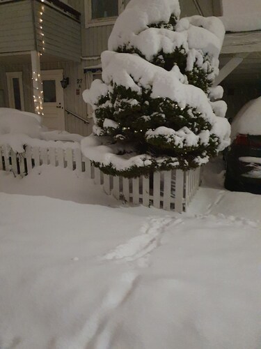 Room-serene Guest Room Retreat in Centra