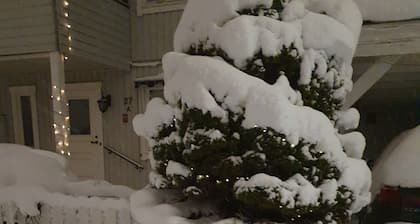 Room-serene Guest Room Retreat in Centra