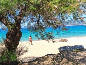 A beach with a tree, a person, and a dog. - 2-room apartment in residence with swimming pool overlooking Ajaccio bay (Porticcio)