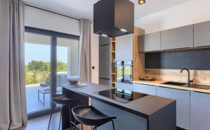 Private kitchen - Villa IVaLA - Luxury with Heated Pool & Panoramic Sea Views in Istria (Galižana)