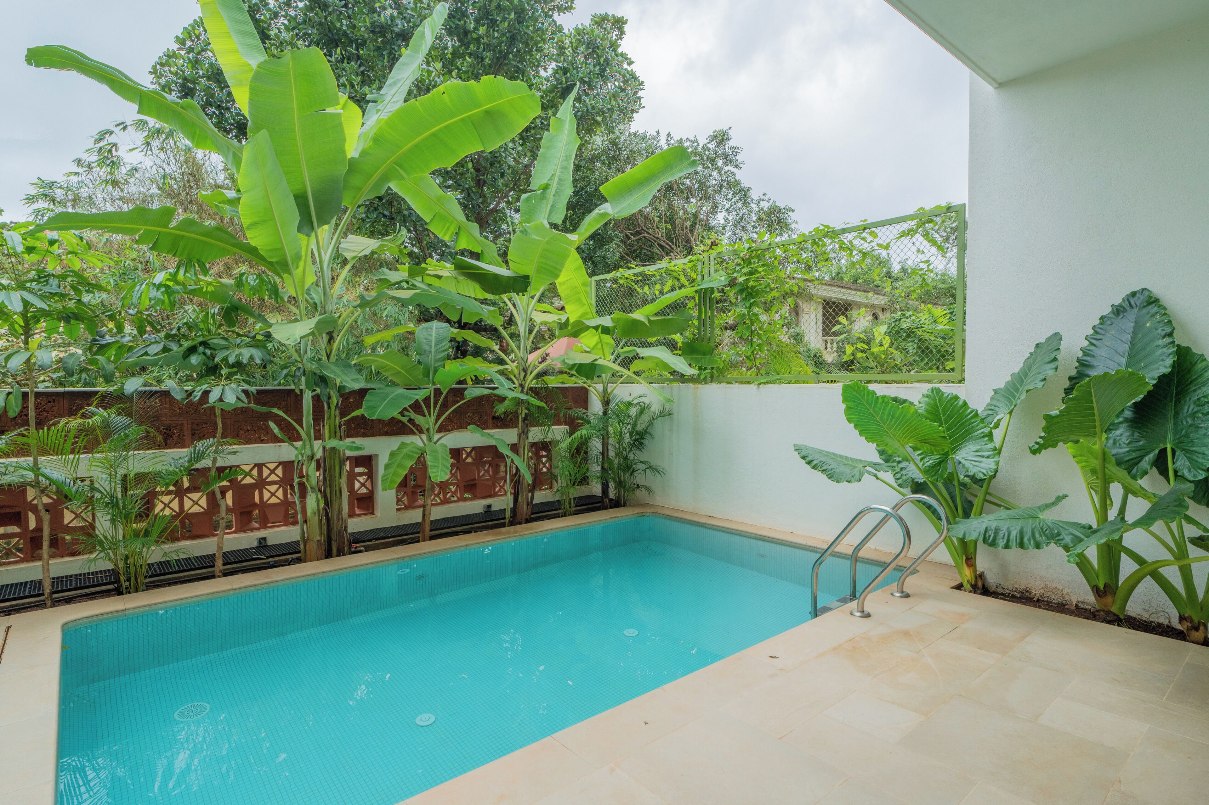 A swimming pool with a tiled deck, surrounded by large green plants and a wooden fence.
