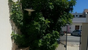 A paved walkway leading to a gated entrance with a large tree and a wall-mounted light fixture. - Cottage a stone's throw from the sea (San Vito Lo Capo)