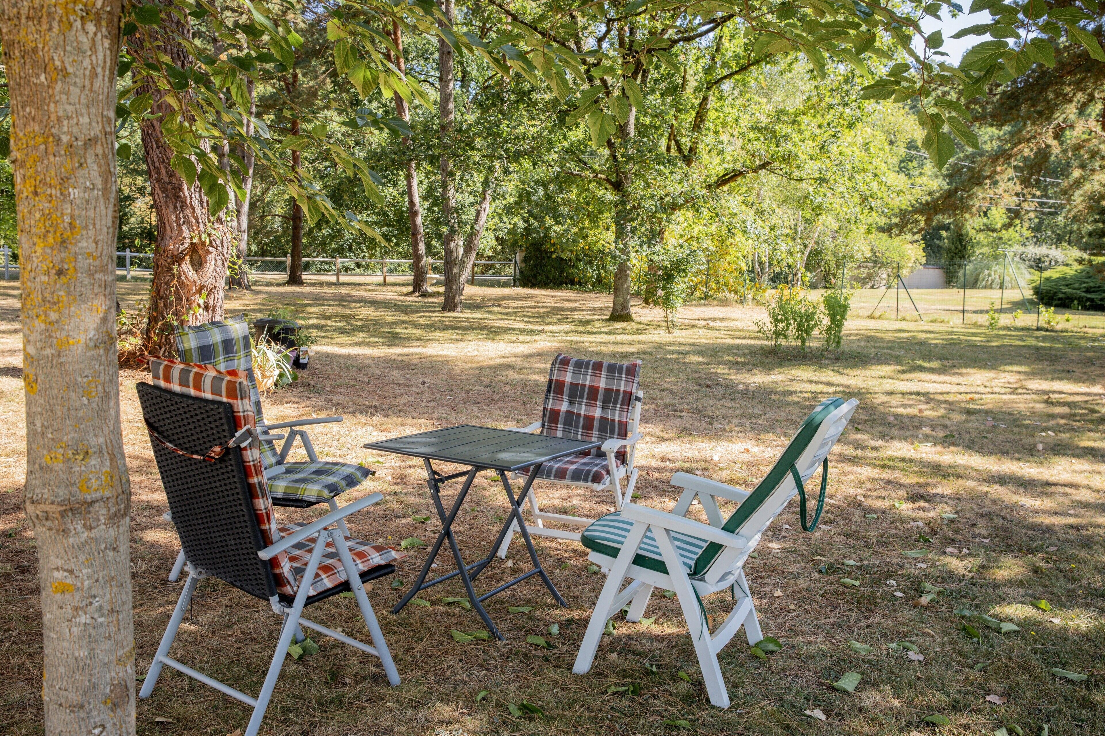 An outdoor seating area with a table and two chairs, surrounded by trees.