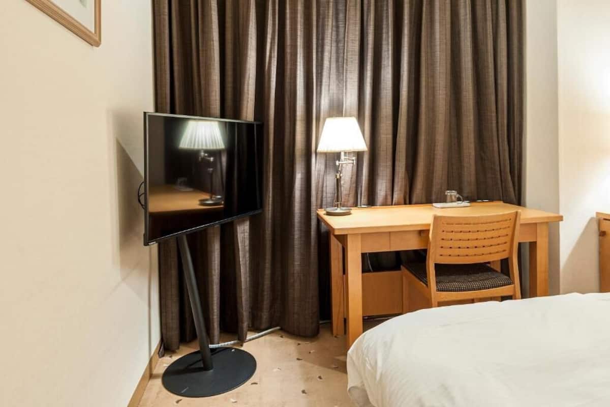 Enkeltværelse - ikke-ryger - byudsigt