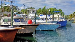 A marina with several boats docked, including a boat named 'Ashley' and another named 'Transition.' - "Catch of the Day" 2bdr 1.5bth -Water Front Home @Pier 98 Marina...BOOK TODAY (Panama City)