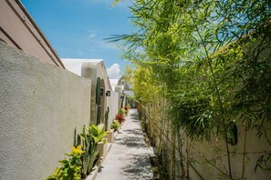 Property grounds - Mahe Glamping (Kintamani)