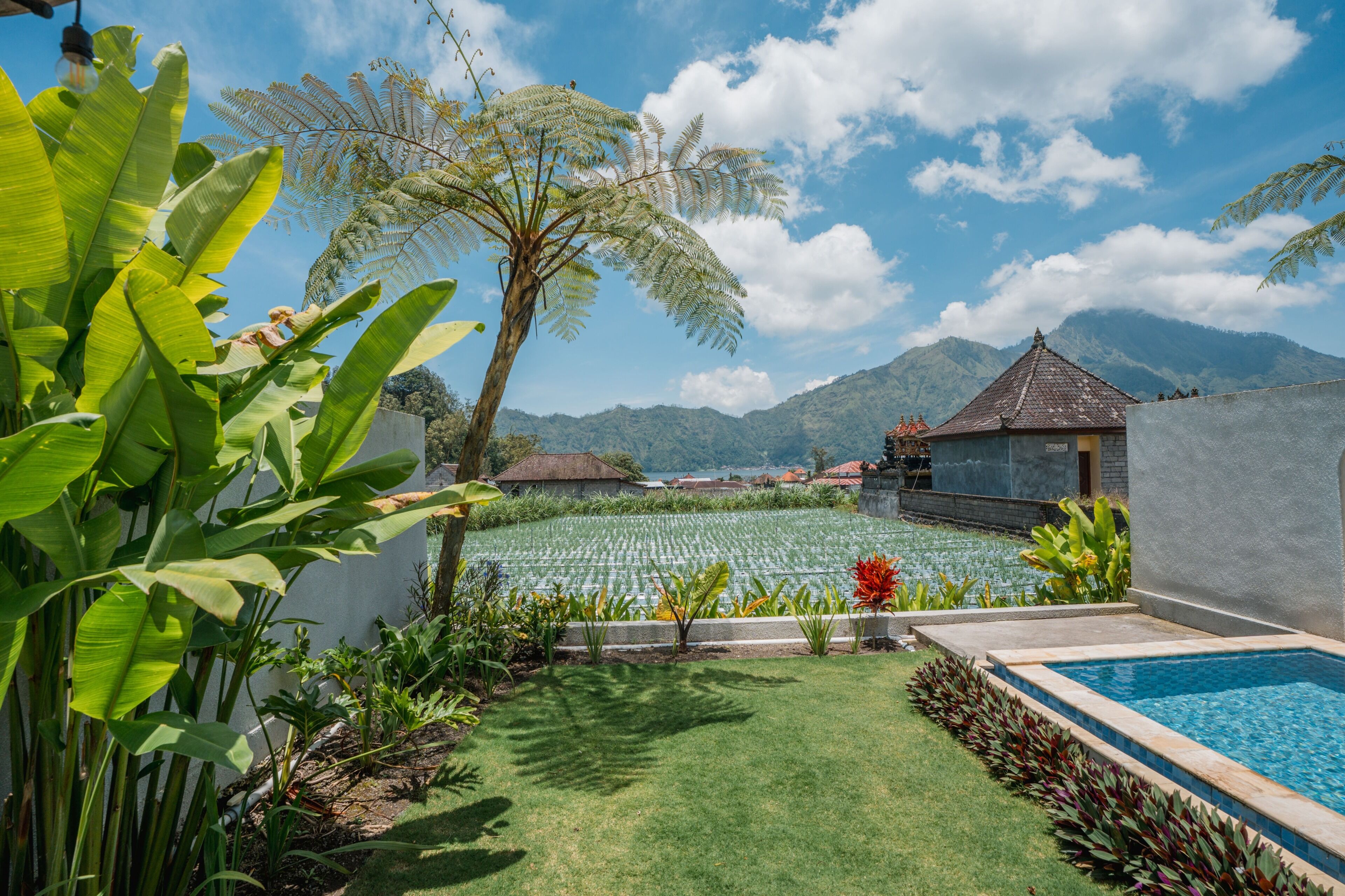 Vista desde la propiedad