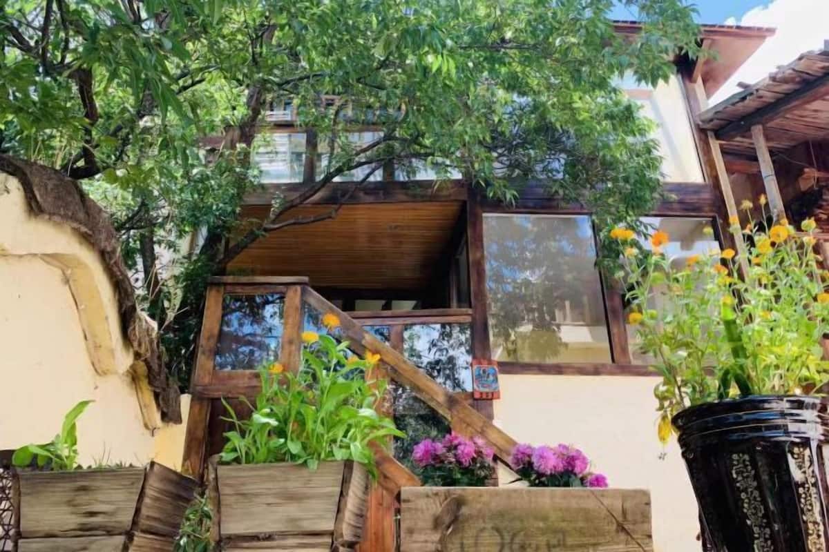 Un bâtiment rustique avec un escalier en bois, une fenêtre offrant une belle vue et des plantes en pot.