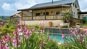 A house with a pool, surrounded by pink flowers and greenery. - Narnia Luxury Self Catering Guest House (Knysna)