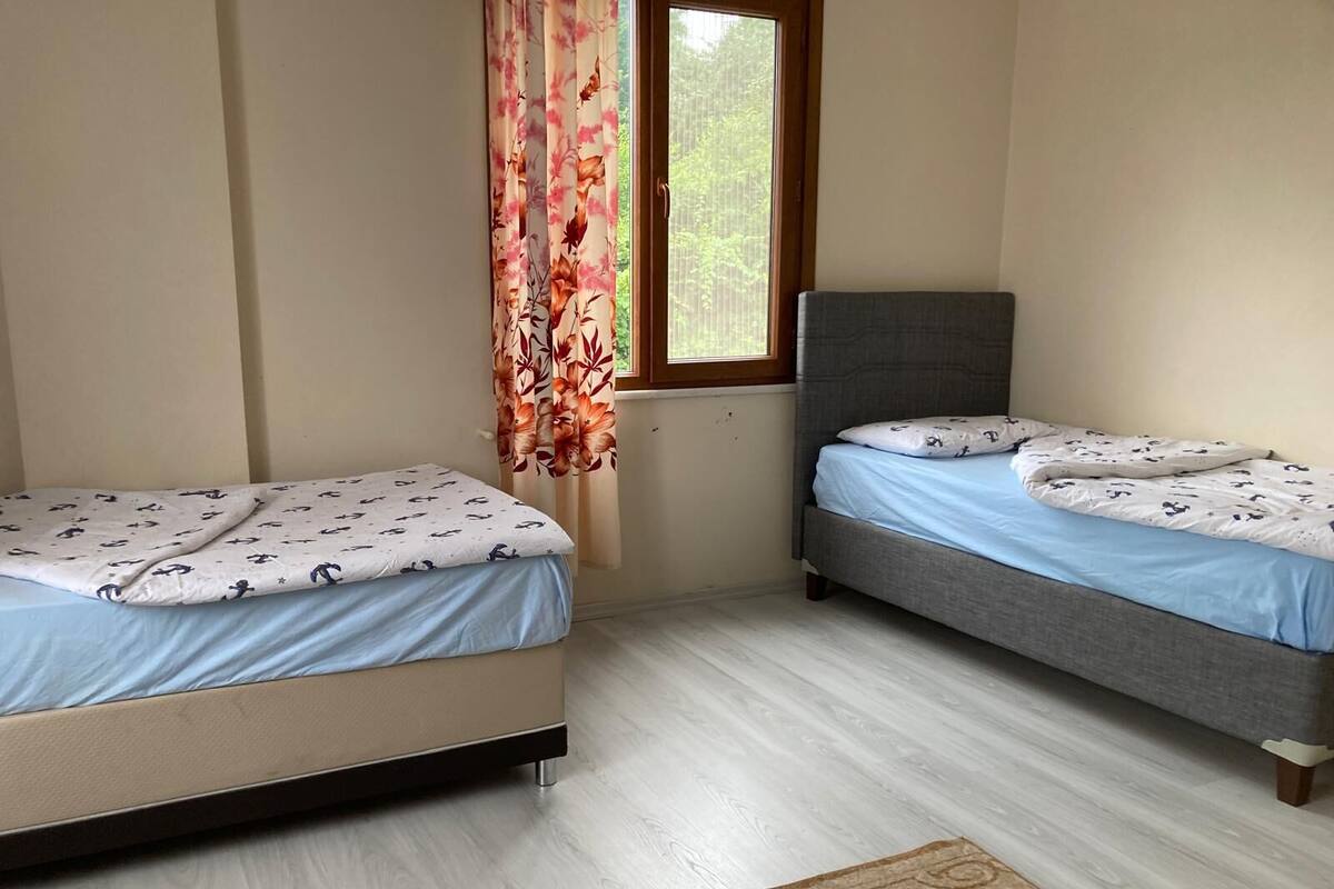 Une chambre avec deux lits, une fenêtre avec des rideaux et un tapis à motifs.