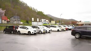 Ubetjent parkering (inkludert)