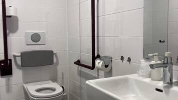 Ducha, secador de pelo, toallas, papel higiénico