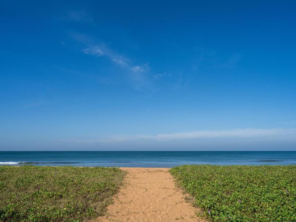 在海滩、白沙