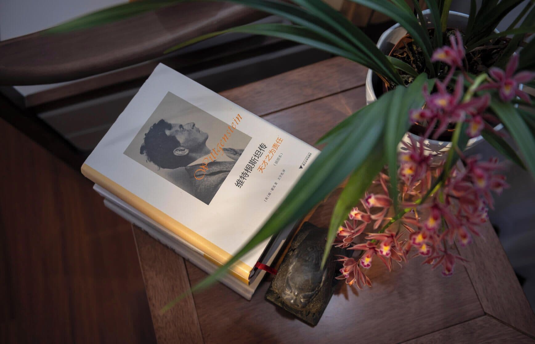 A book titled 'Wittgenstein' on a wooden table with a potted plant in the background.