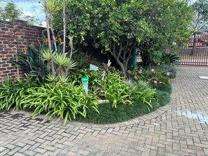 Property grounds - Spring Day BB (Mkhondo)