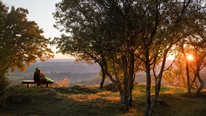 Property grounds - Villa Ucka Nature Retreat by Villas Guide (Brest pod Uckom)