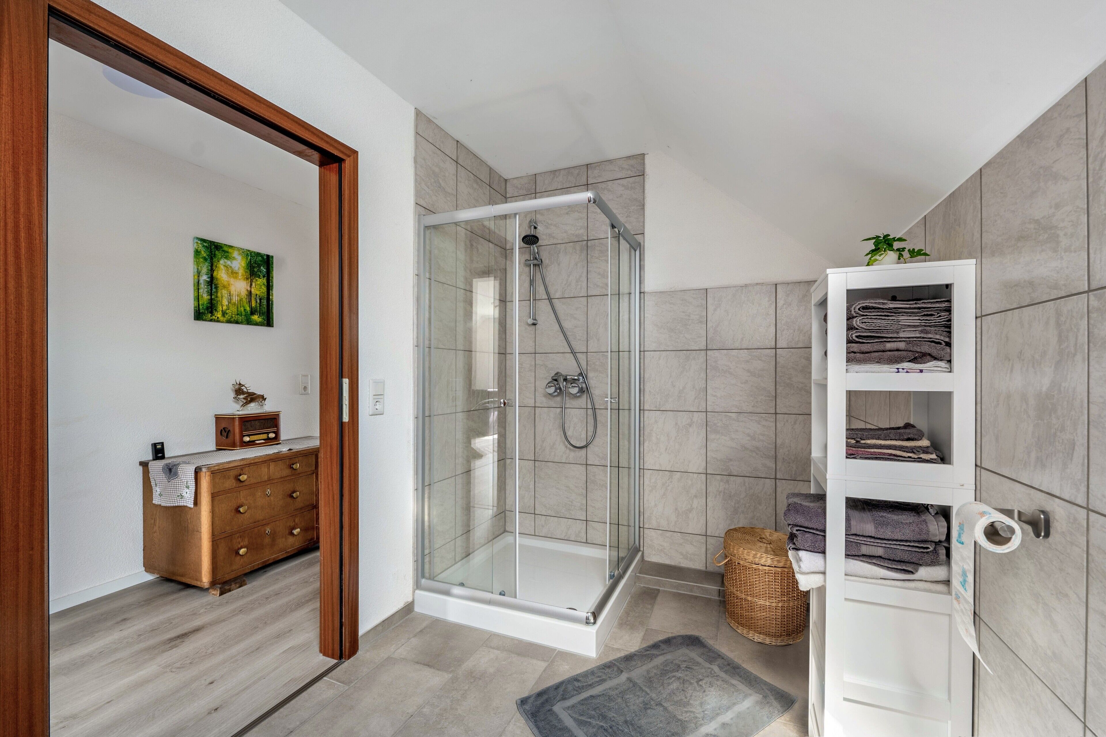 Shower, hair dryer, towels