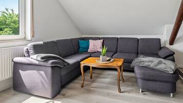 Fernseher