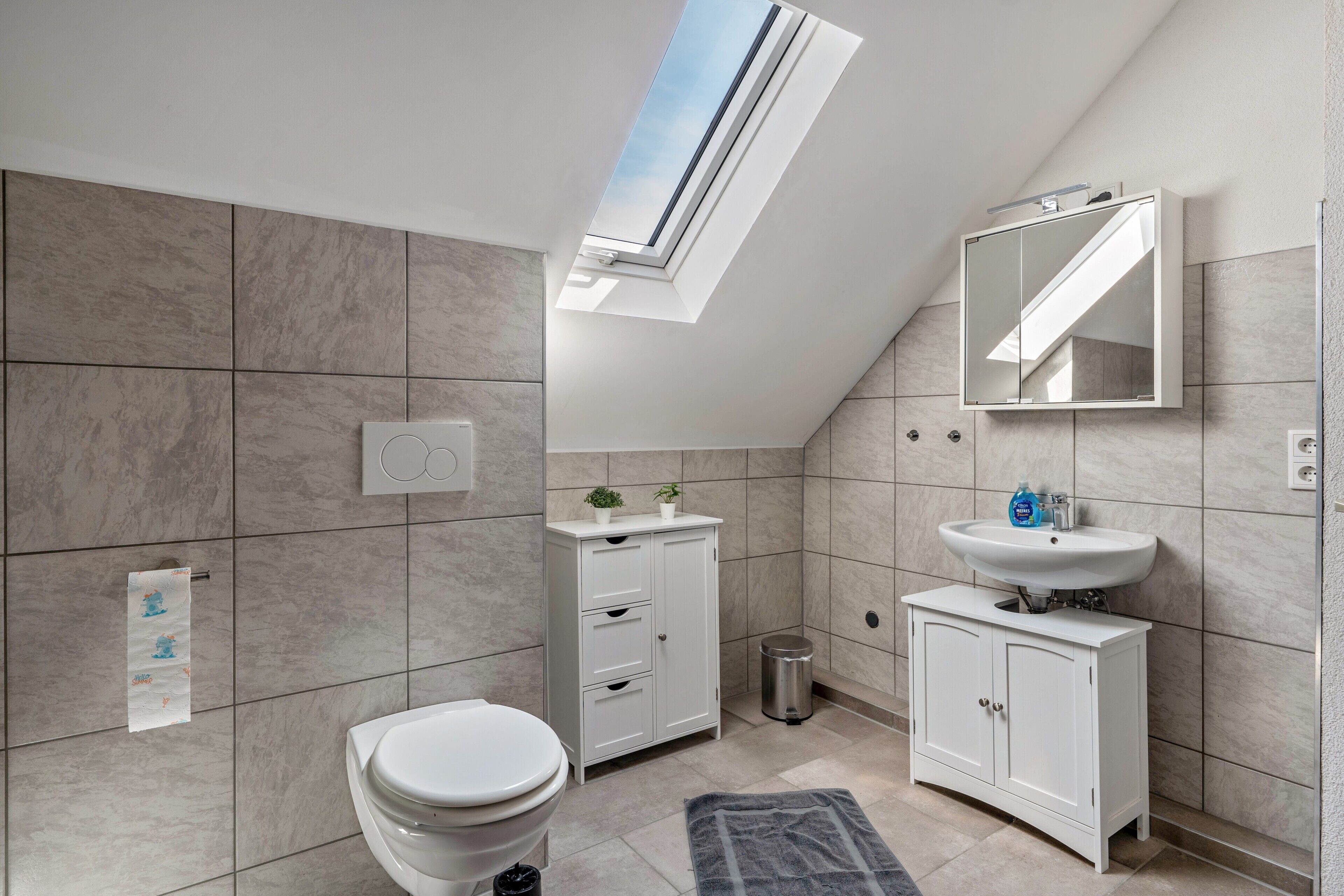 A modern bathroom with a skylight, a toilet, a sink, and a cabinet.