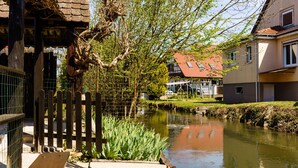 A riverside view with a wooden fence, a bench, and a building with a red roof. - Guest Room 'Auguste' with Shared Pool (Plobsheim)