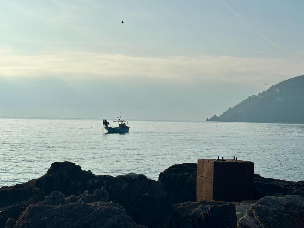 A coastal scene with a boat on calm water, rocky shoreline, and a distant hill.