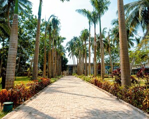 Khuôn viên nơi lưu trú