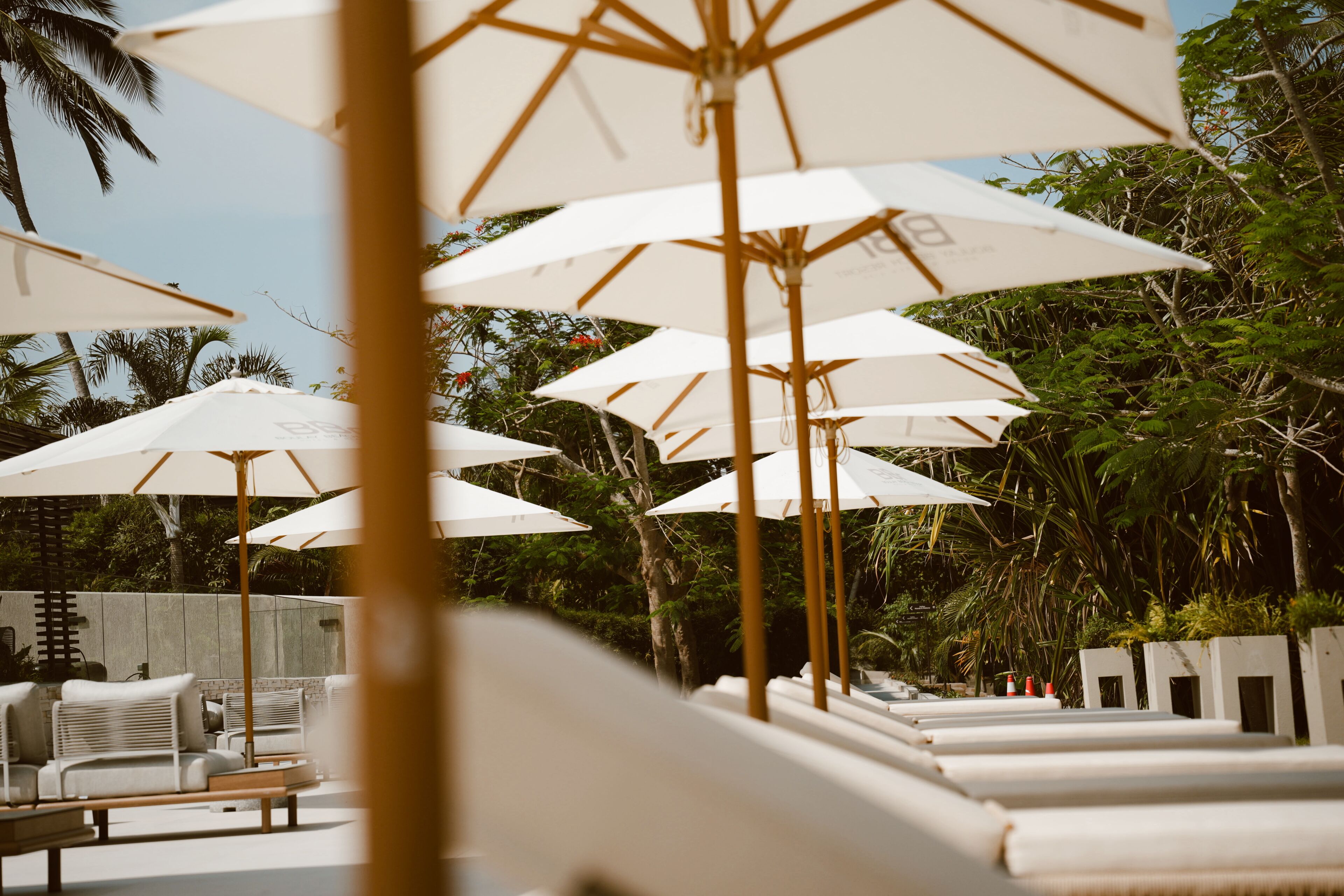 A row of white lounge chairs and umbrellas, suggesting a resort setting.