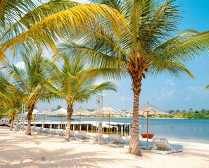 A beach with palm trees, lounge chairs, and a water body in the background.