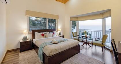 ELIVAAS 3BHK Plus Attic Cliffside Villa