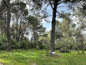 A natural outdoor setting with trees and grass. - Bed and breakfast in the south of France (Entre-Vignes)