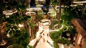 An indoor garden with a central pathway, surrounded by lush greenery and illuminated by circular lights. - Hatchu khaoyai (Pak Chong)