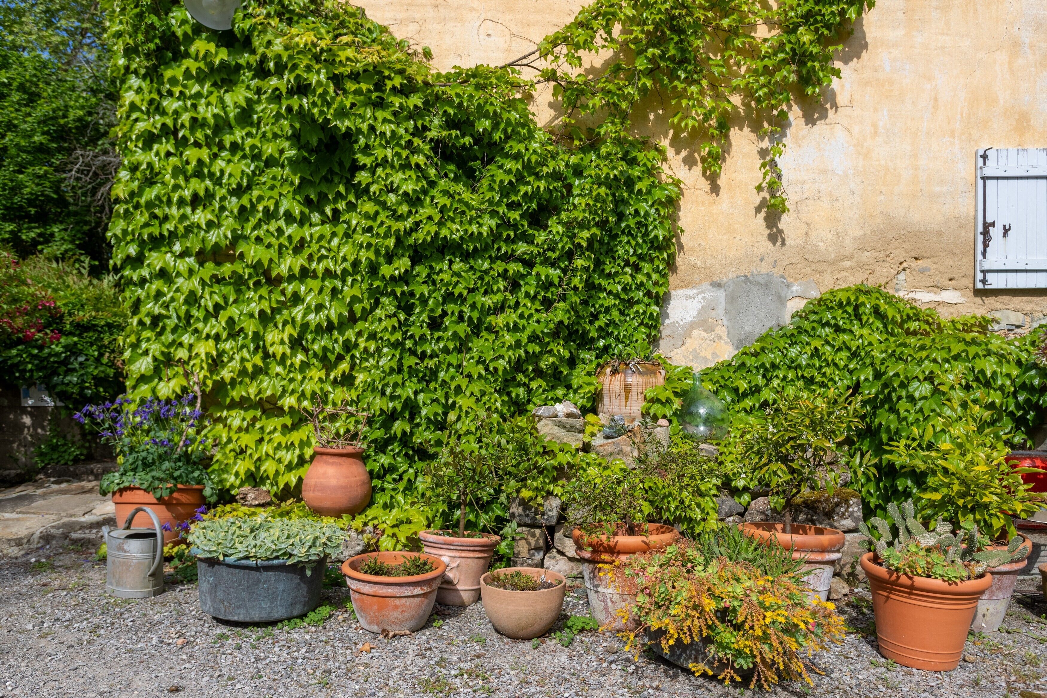 Enceinte de l’hébergement
