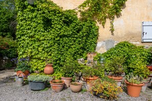 Property grounds - Charming 3-Star Home Between Landes and the Basque Country (Sainte-Marie-de-Gosse)