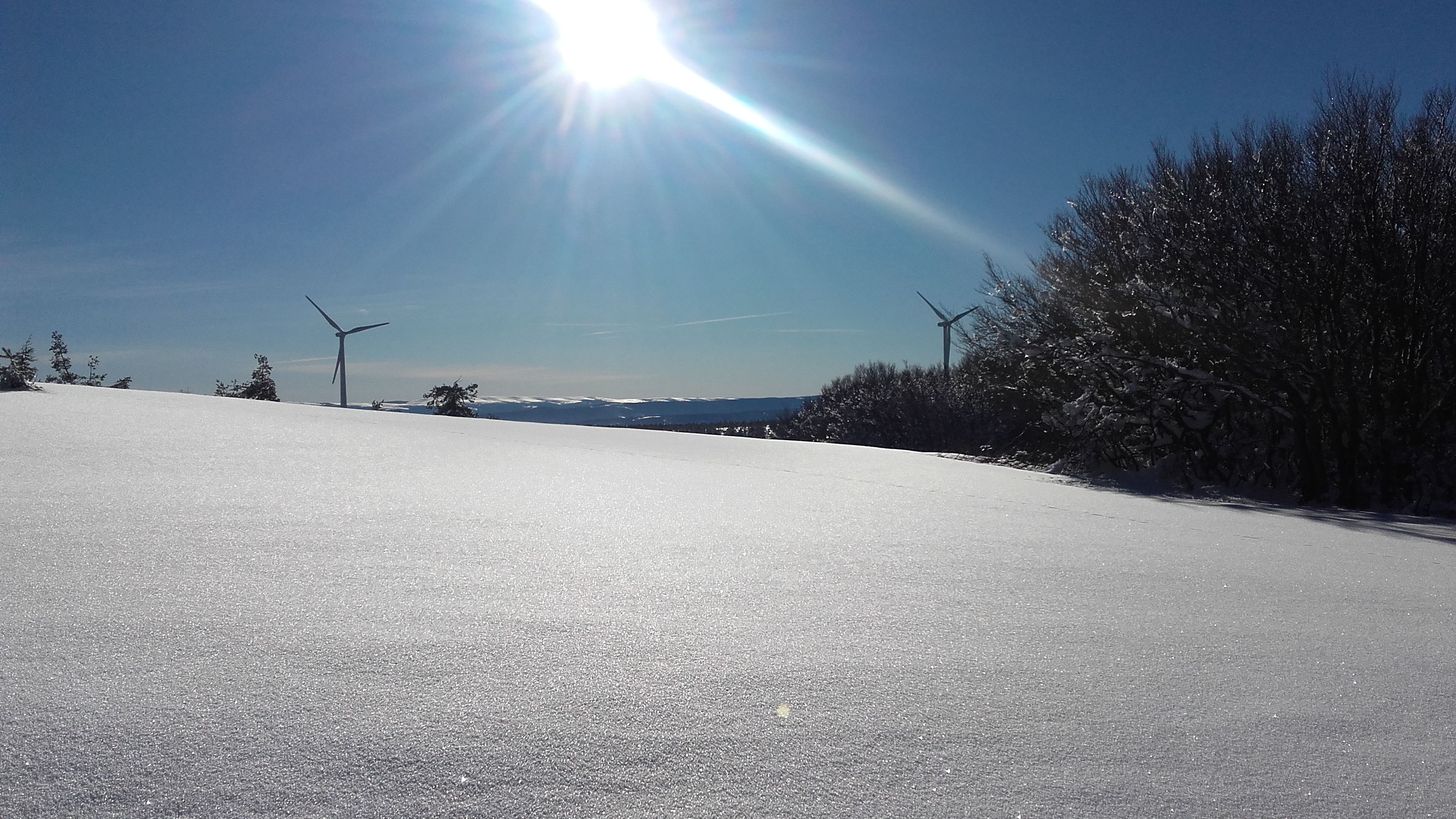 A snowy landscape with a clear sky, a road, and wind turbines.
