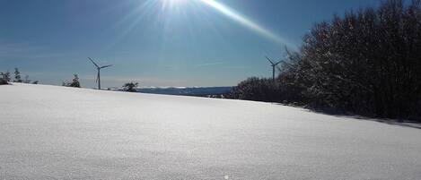 A snowy landscape with a clear sky, a road, and wind turbines.