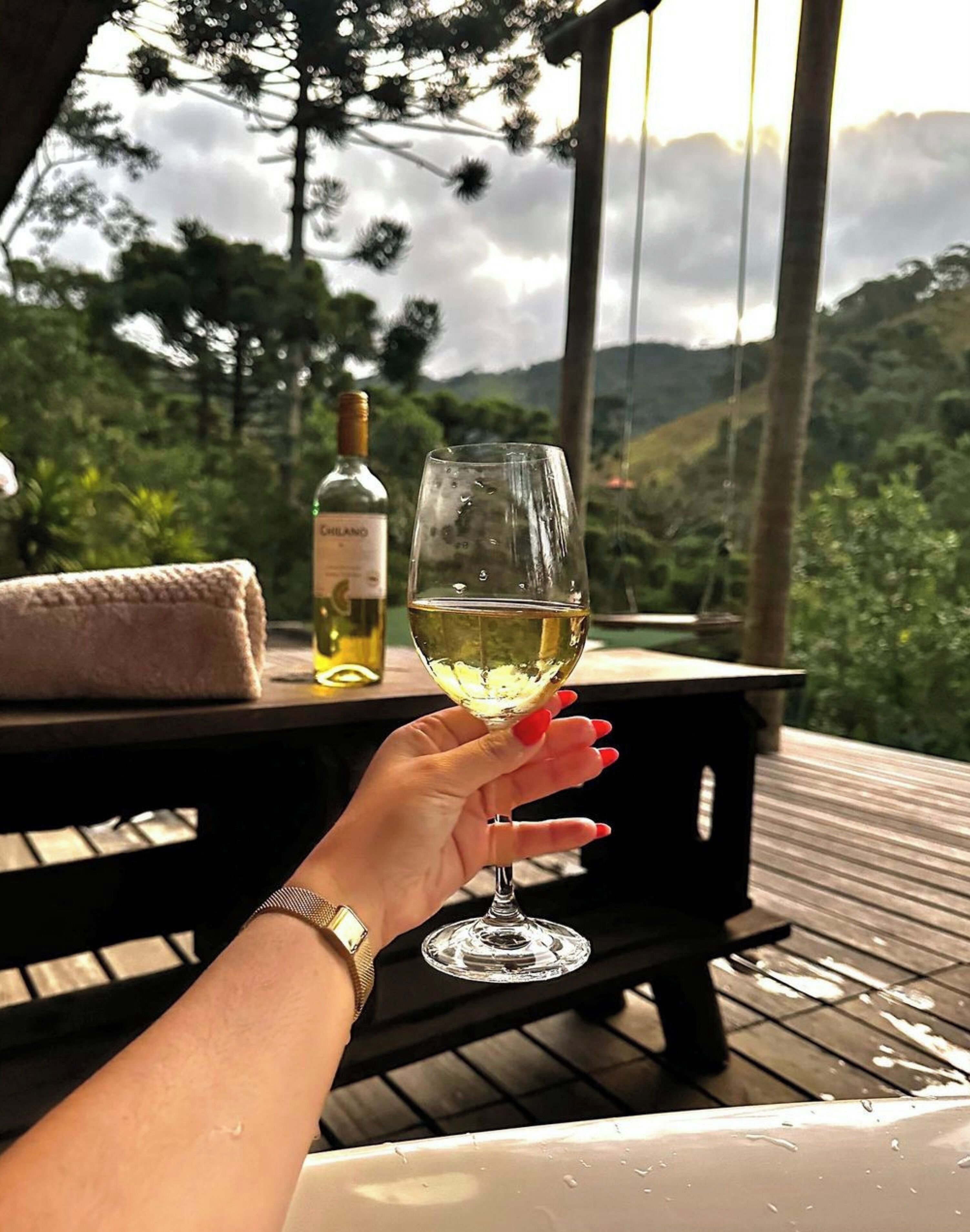 A hand holding a wine glass with a bottle of wine on a table, overlooking a mountainous landscape.