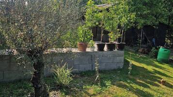 House, 1 Bedroom, Accessible, Smoking | Garden
