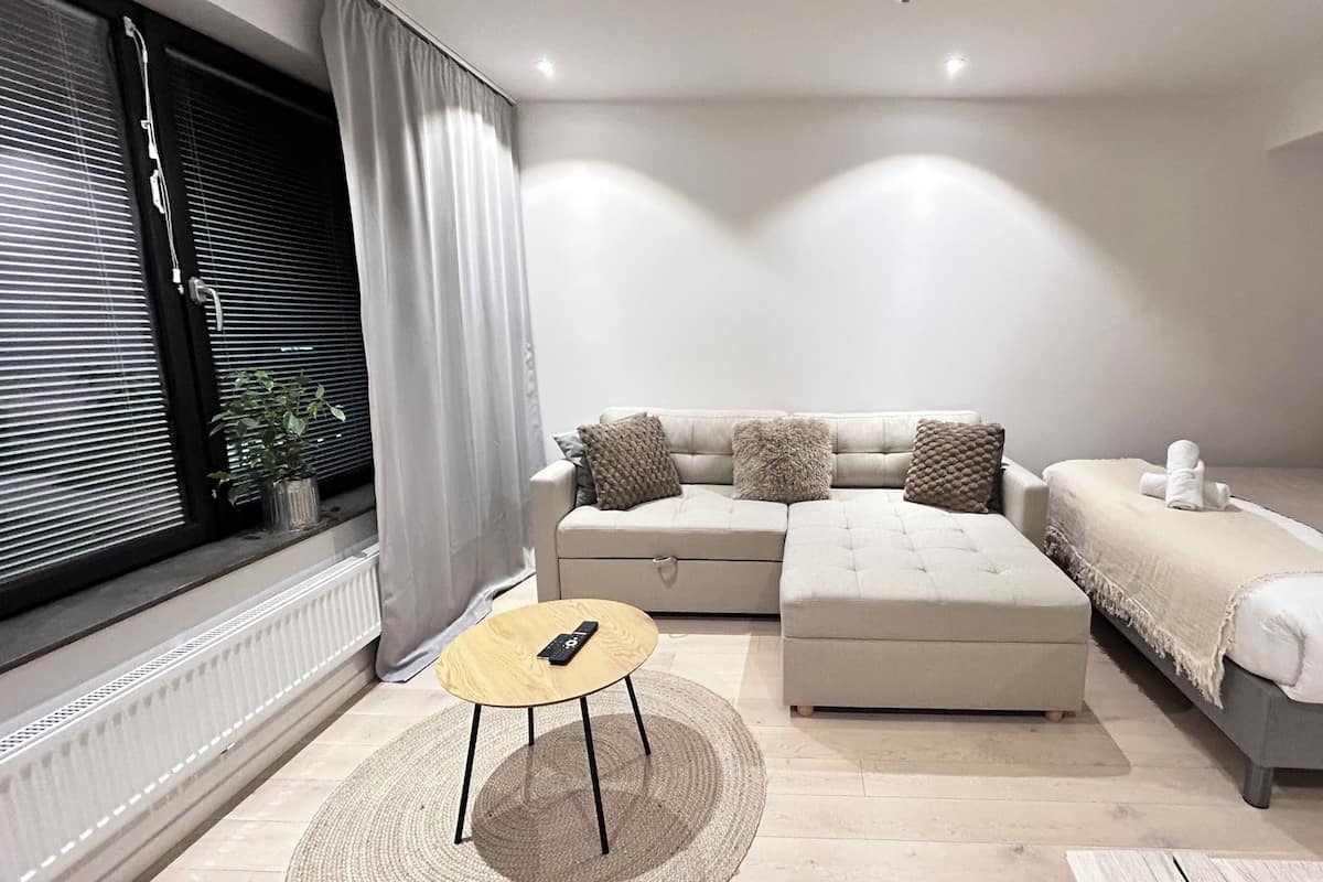 Apartment, 1 Bedroom, Accessible, City View