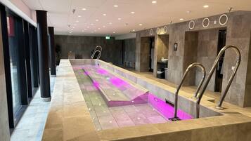 Apartment, 1 Bedroom, Accessible, City View | Pool | Indoor pool